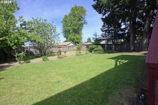 view of yard