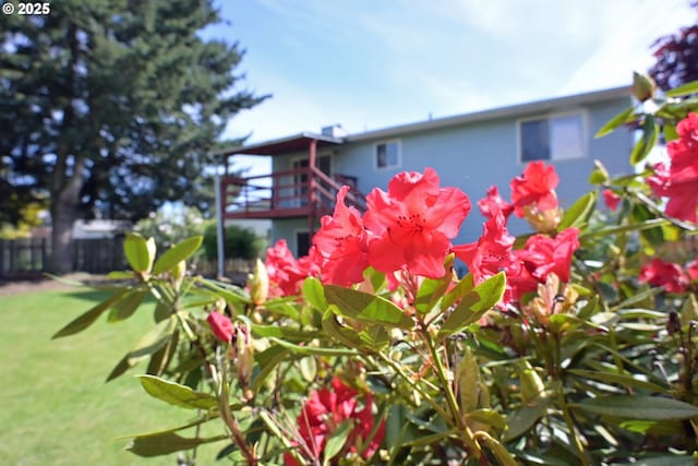view of green lawn