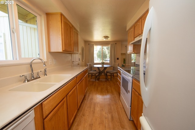 kitchen featuring white appliances, under cabinet range hood, a sink, light wood-style floors, and light countertops