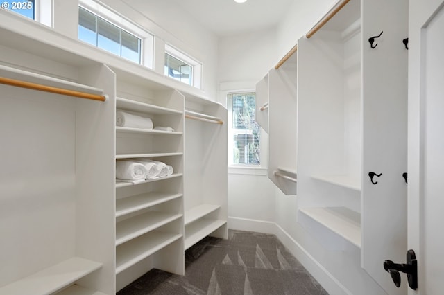 walk in closet featuring dark carpet