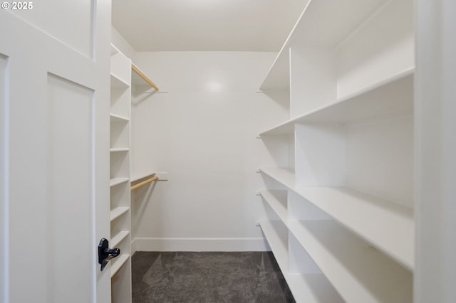 walk in closet with dark colored carpet