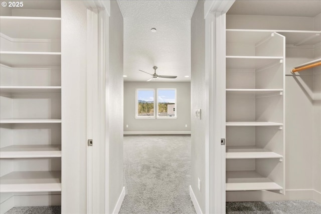 walk in closet with a ceiling fan and carpet