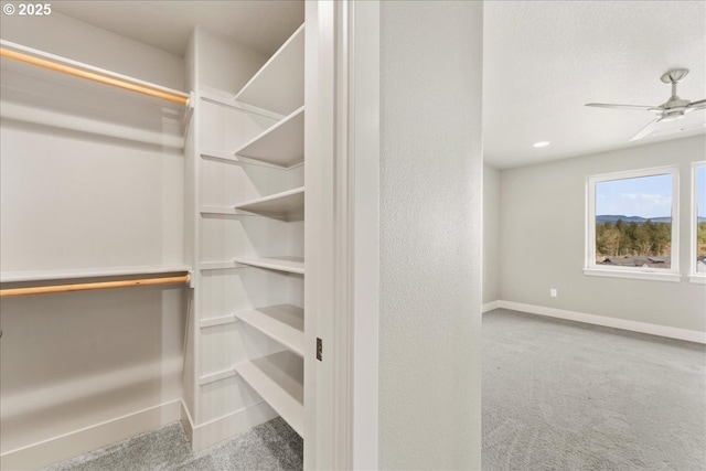 spacious closet featuring carpet floors and a ceiling fan