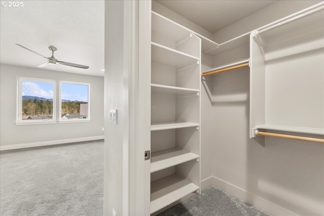 spacious closet featuring a ceiling fan and carpet