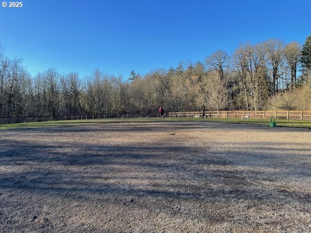 view of yard with a rural view