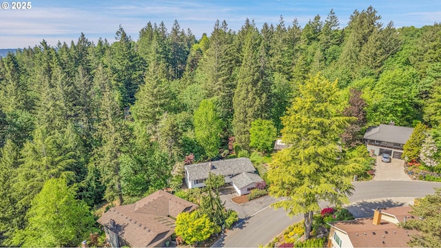 aerial view of a forest