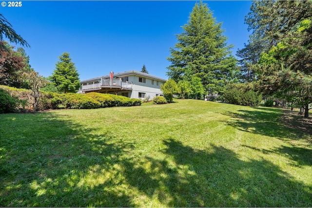 1810 D St, Forest Grove, OR 97116 - view of green lawn