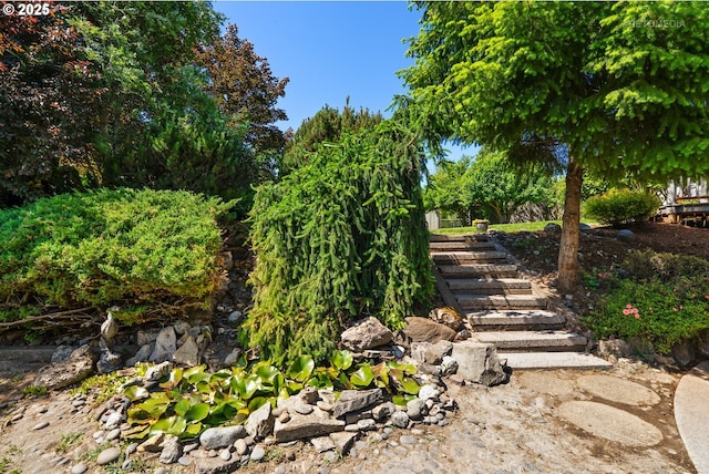 1810 D St, Forest Grove, OR 97116 - view of yard with stairway