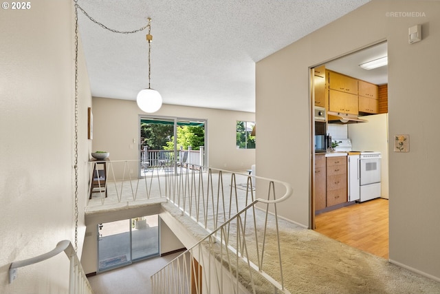 1810 D St, Forest Grove, OR 97116 - corridor with an upstairs landing, light colored carpet, a textured ceiling, and baseboards