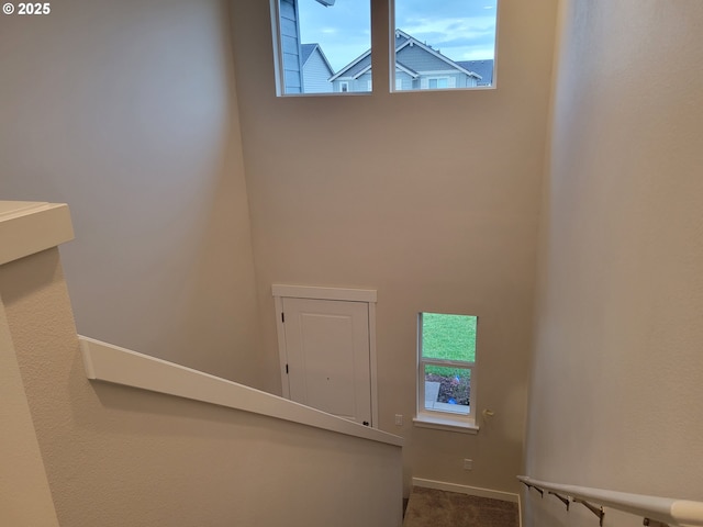 stairs featuring carpet floors and baseboards