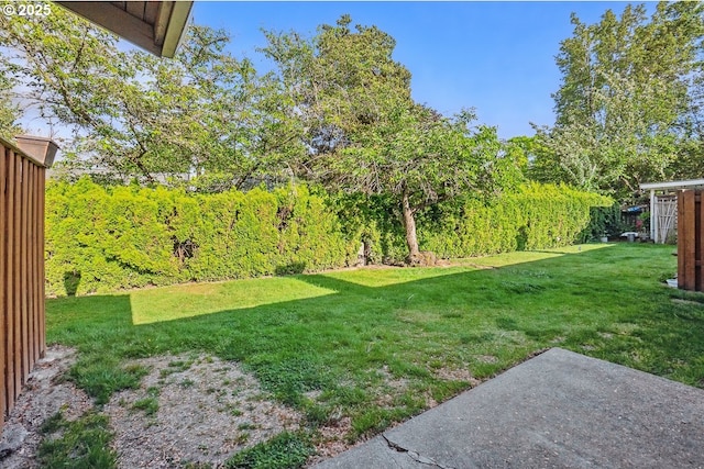 6841 SW Sussex St, Beaverton, OR 97008 - view of green lawn