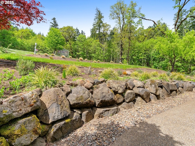 view of yard featuring a forest view