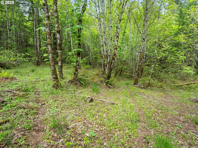 view of local wilderness with a wooded view