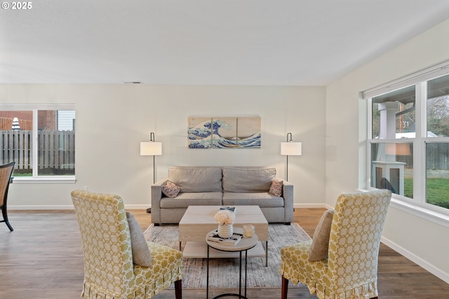 living room with a wealth of natural light and hardwood / wood-style floors