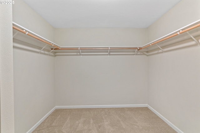 walk in closet featuring light colored carpet