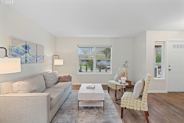 living room featuring hardwood / wood-style floors