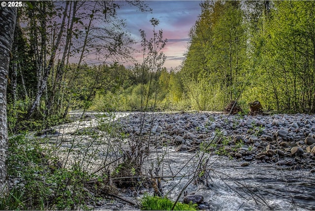 property view of water with a wooded view