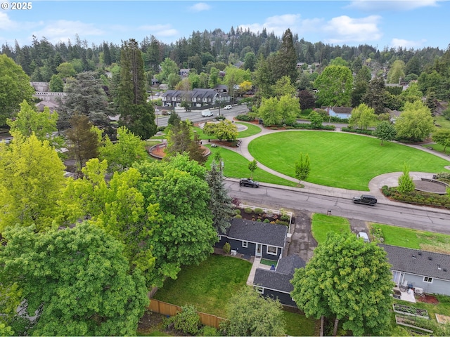 drone / aerial view