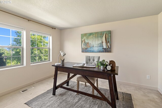 29229 SW Costa Cir E, Wilsonville, OR 97070 - office space featuring light carpet, a textured ceiling, and baseboards