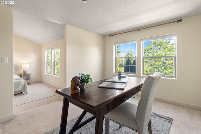 29229 SW Costa Cir E, Wilsonville, OR 97070 - office featuring light carpet, plenty of natural light, a textured ceiling, and baseboards