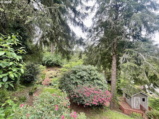 755 17th Ave, Coos Bay, OR 97420 - view of yard