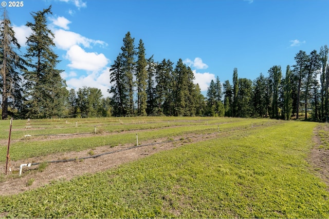 view of yard with a rural view