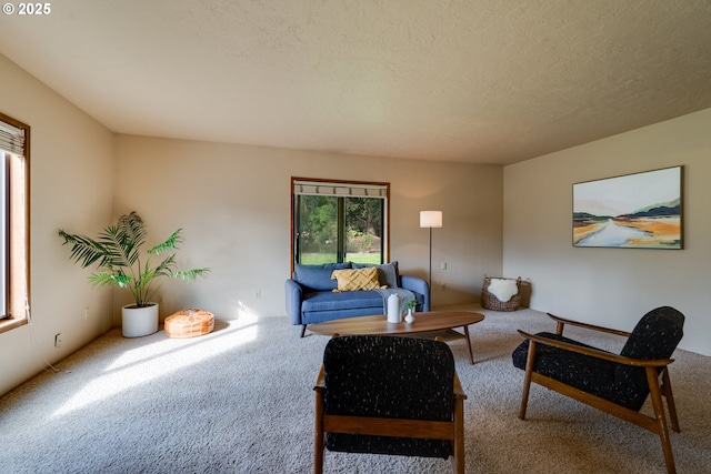 living area featuring a textured ceiling and carpet flooring