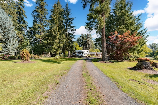 view of street featuring driveway