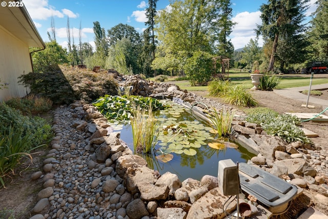 view of yard with a small pond