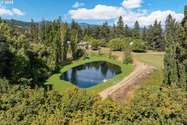 drone / aerial view with a water view and a wooded view