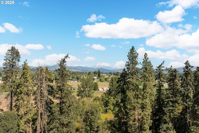 mountain view featuring a wooded view