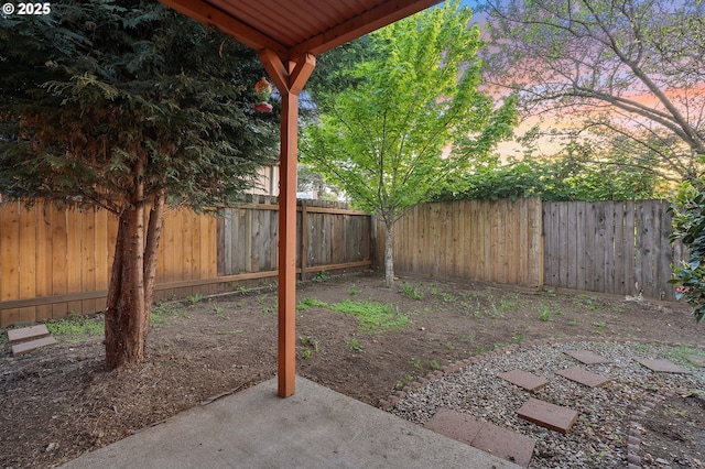 view of yard with a fenced backyard and a patio area