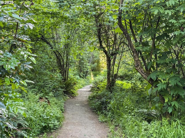 13910 SW Secretariet Ct, Beaverton, OR 97008 - surrounding community with a view of trees