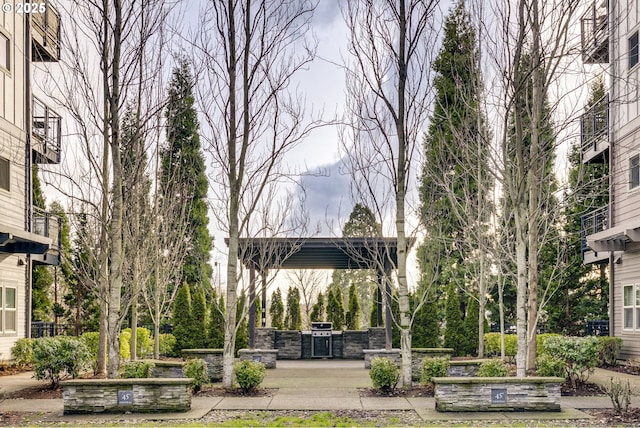 view of home's community with an outdoor kitchen