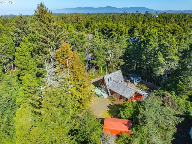 bird's eye view with a mountain view and a forest view