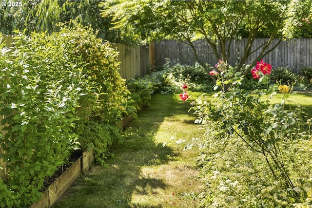 9115 NE Meadowbrook Cir, Vancouver, WA 98664 - view of yard