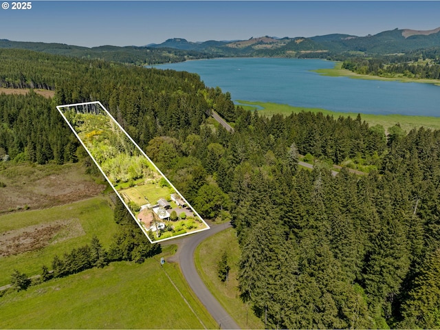 aerial view of property and surrounding area with a water and mountain view, a heavily wooded area, and property boundaries highlighted