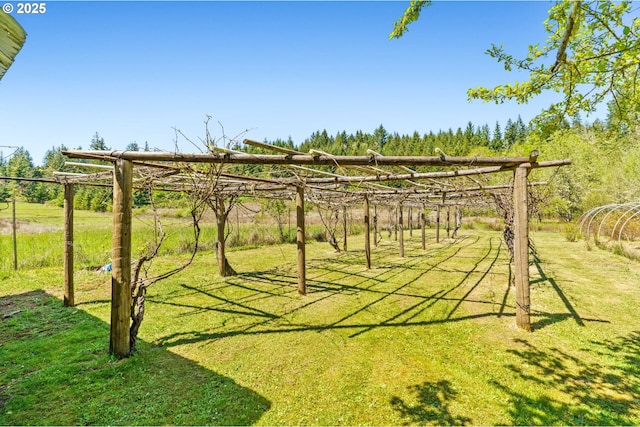 view of grassy yard