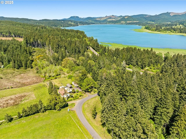 aerial view of a water and mountain view and a heavily wooded area