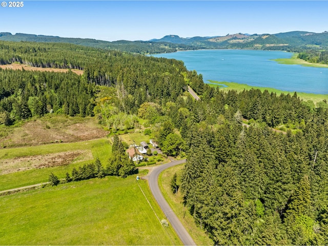 bird's eye view of a water and mountain view and a heavily wooded area