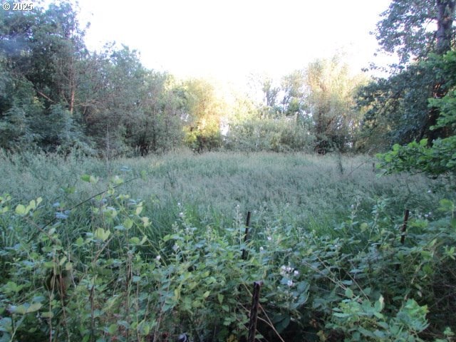 21451 SE Webfoot Rd, Dayton, OR 97114 - view of woods