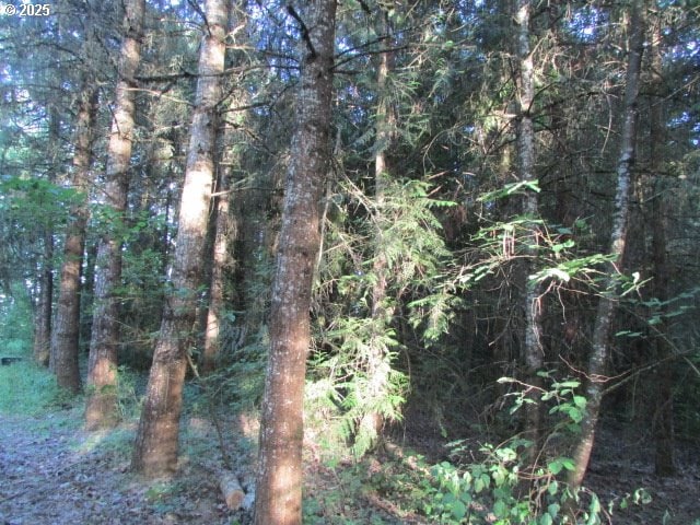 21451 SE Webfoot Rd, Dayton, OR 97114 - view of wooded area