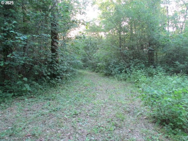 21451 SE Webfoot Rd, Dayton, OR 97114 - view of wooded area