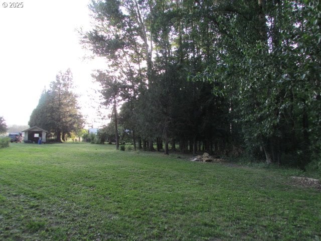 21451 SE Webfoot Rd, Dayton, OR 97114 - view of grassy yard