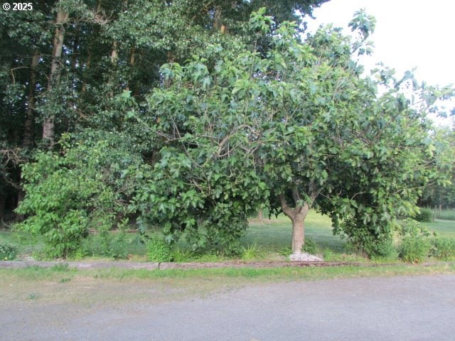 21451 SE Webfoot Rd, Dayton, OR 97114 - view of local wilderness