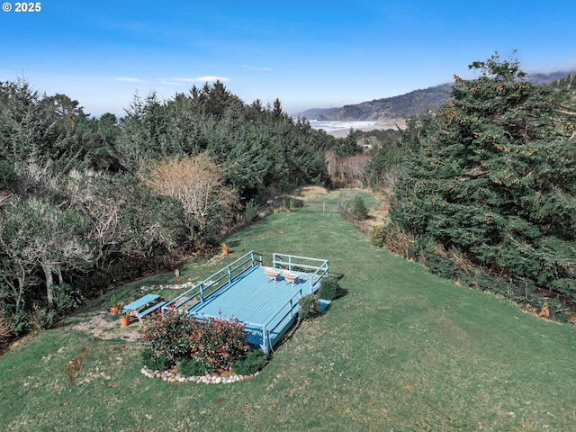 aerial view featuring a mountain view