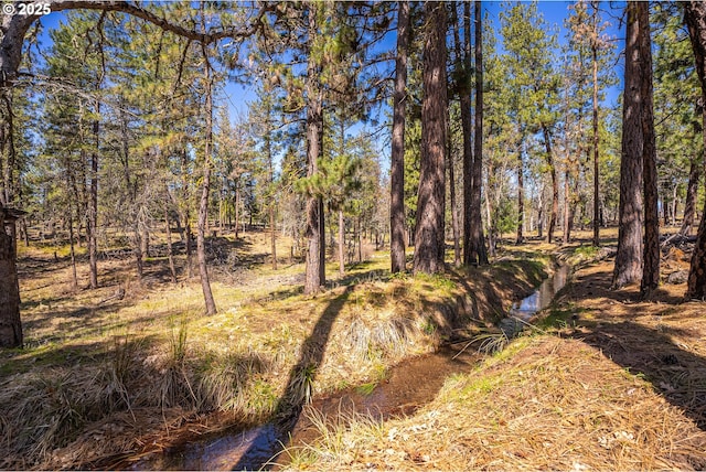 10 Outback Rd, Goldendale, WA 98620
