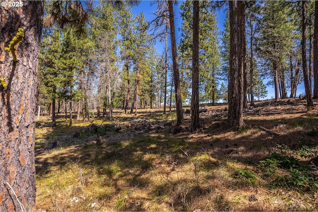 10 Outback Rd, Goldendale, WA 98620