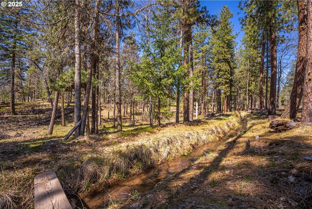 10 Outback Rd, Goldendale, WA 98620