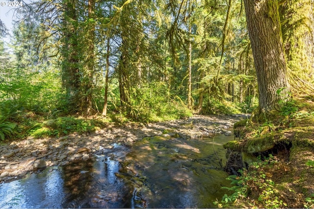 415 Spruce Creek Rd, Longview, WA 98632 - view of local wilderness featuring a forest view